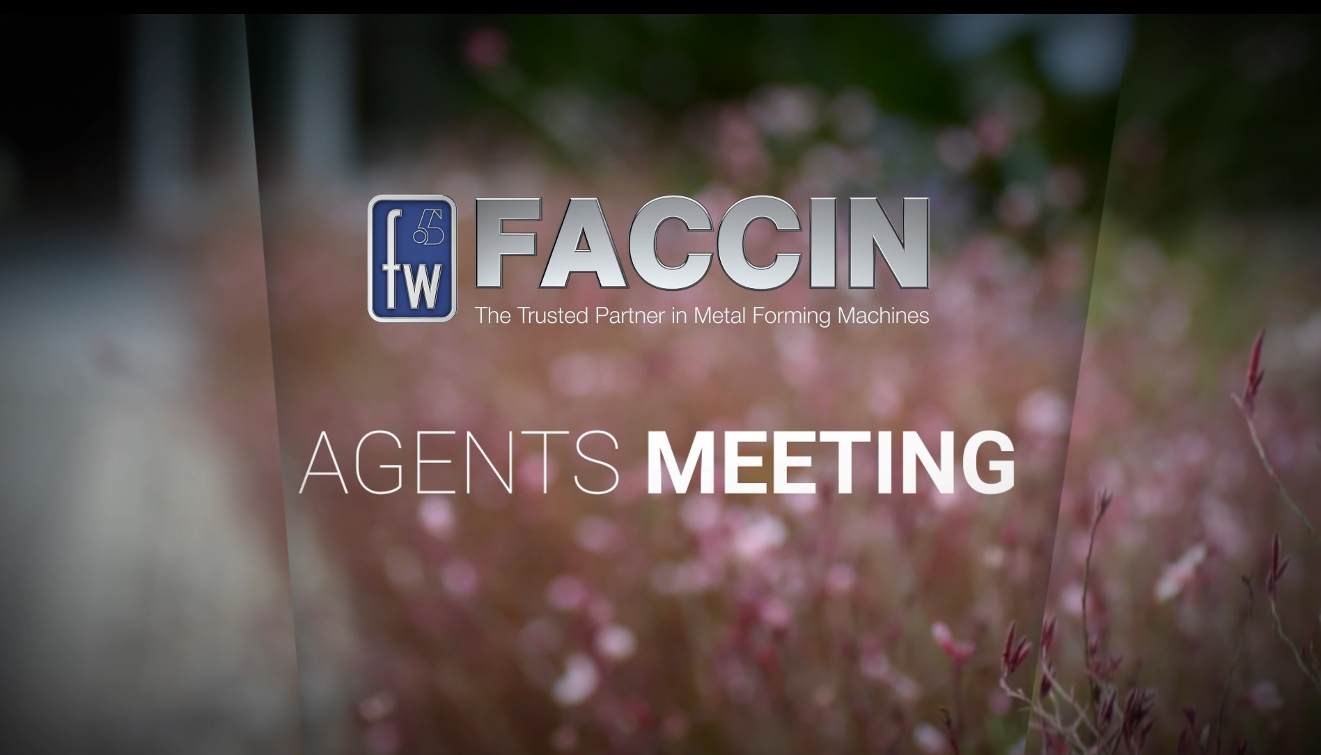 Faccin International Agents Meeting 2017
